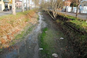 2 Stato Del Canale San Giovanni Anno 2025 Foto Floriano Govoni